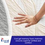 400-500__04. Explainer_Info01